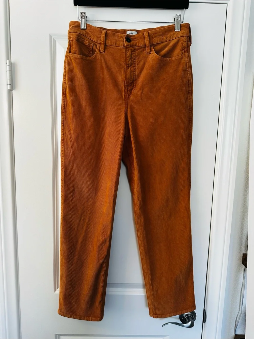 J.Crew Burnt Orange Straight Leg Corduroy Pants Fall Autumn Women's